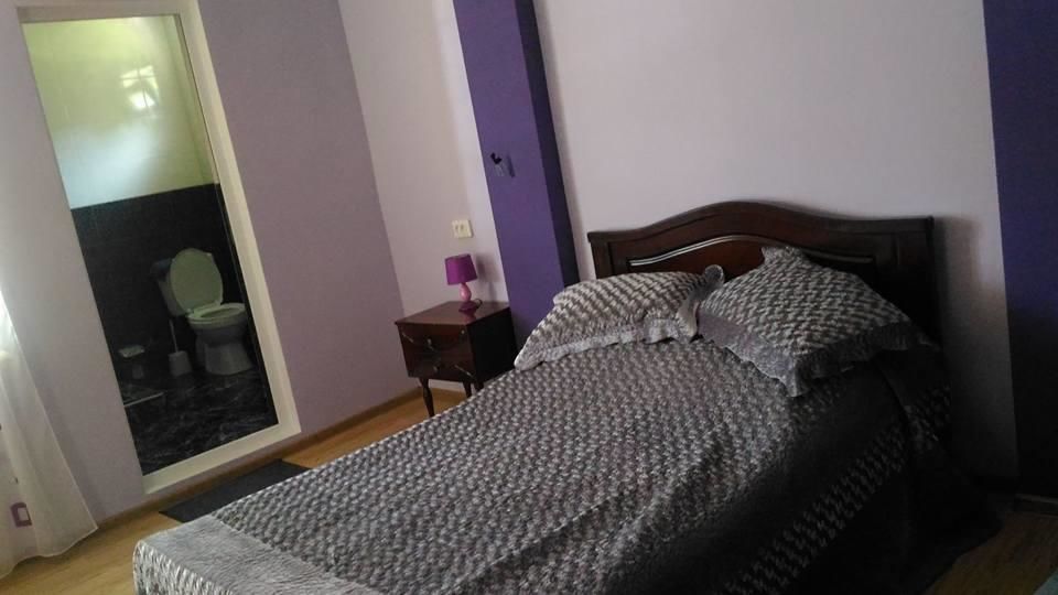 Курортные отели Guest House Medea Боржоми-32
