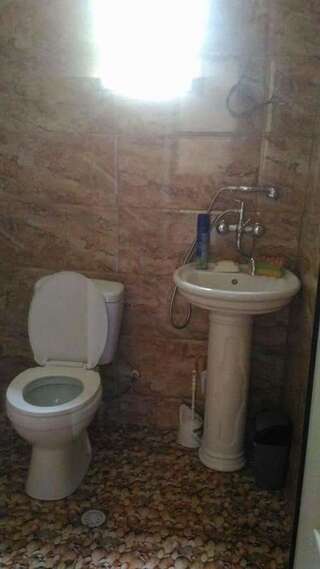 Курортные отели Guest House Medea Боржоми Стандартный трехместный номер-9